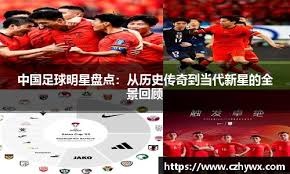 对局质