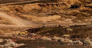 多库更新社媒：输给利物浦不是我们想要的结果，会继续努力